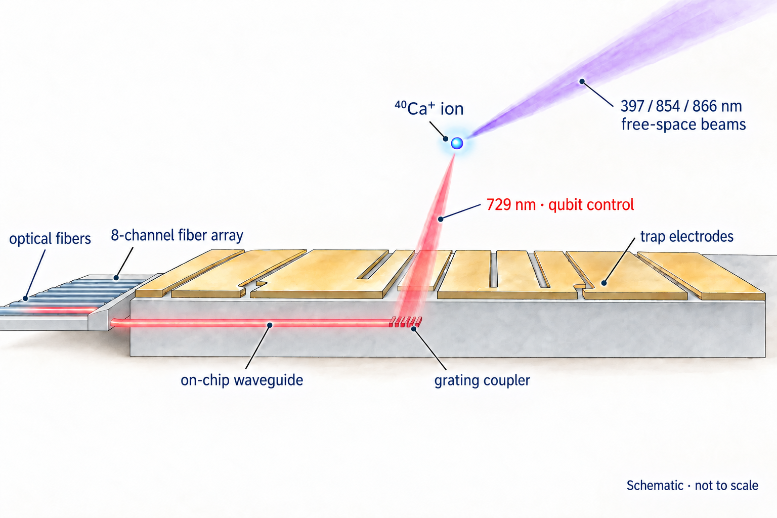 Optical fibers enter a flat eight-channel fiber array at the chip edge. A straight buried waveguide carries 729 nm light to a grating in the same plane below the surface. Only at the grating is light redirected upward, through the electrode opening to a calcium ion. Auxiliary laser beams arrive through free space.
