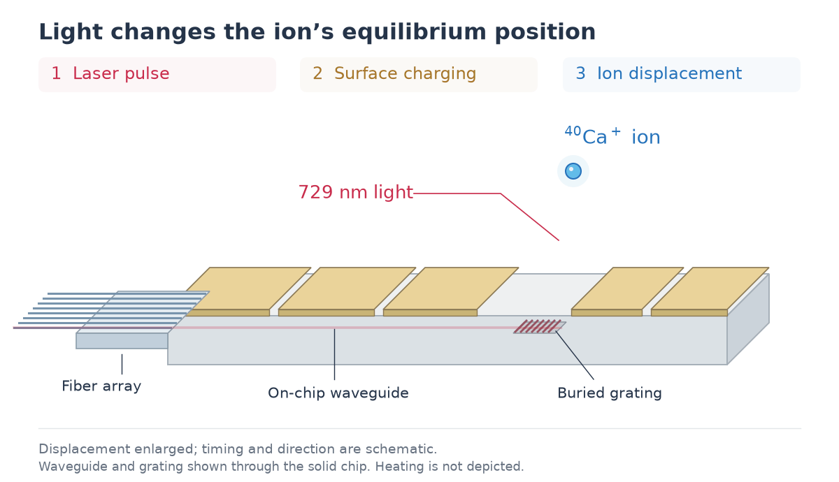 Animation: a 729 nm laser pulse travels through the fiber array and waveguide, charge builds up near the grating, and the ion's equilibrium position shifts on a nanometer scale over tens of seconds. The displacement is greatly enlarged and the timing is schematic.